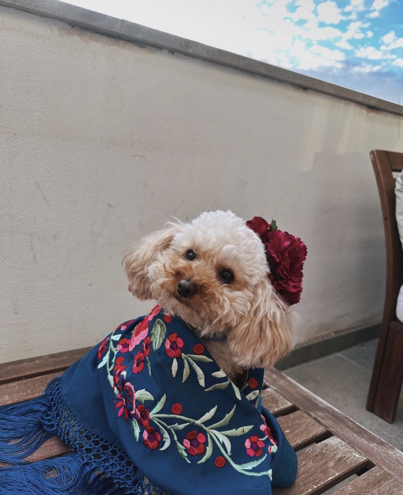 Look con manton de Manila elegante